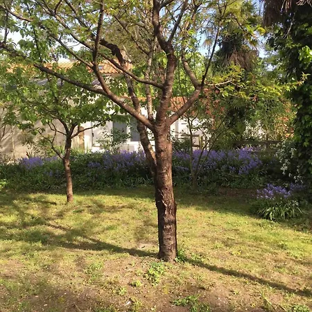 Agreable Proche De La *