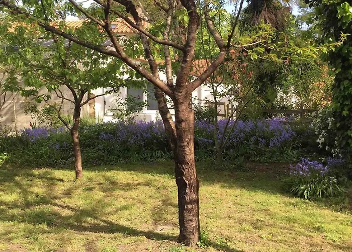 Agreable Proche De La *